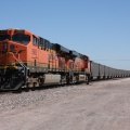 BNSF5906-MAY09-STERLING,CO