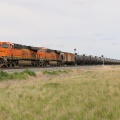 BNSF7001-MAY17-HOLKER,MT