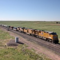 UP7754-MAY09-BORIE,WY