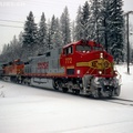 BNSF0772-MAR03-WHITEFISH,MT