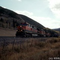 BNSF1114-OCT03-ROLLINSVILLE,CO