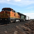 BNSF0547-NOV07-POISON LAKE,CA