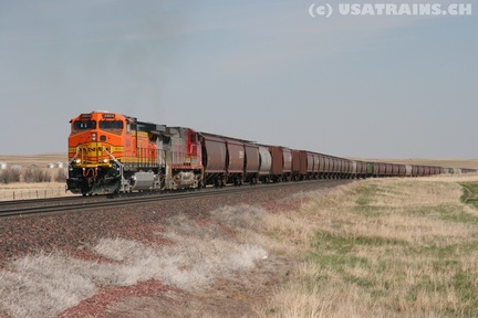 BNSF4804-MAY06-CUT BANK,MT