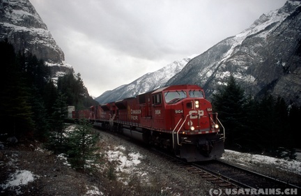 CP9104-OCT01-FIELD,BC